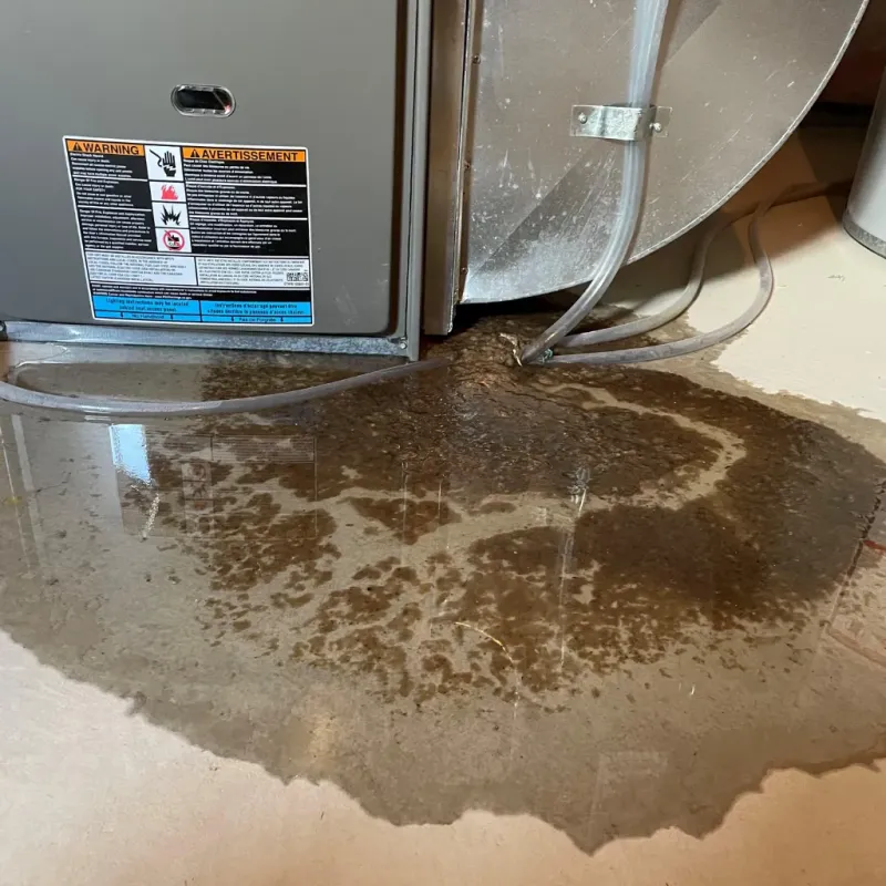 Appliance Leak Cleanup in Farmersburg, IN